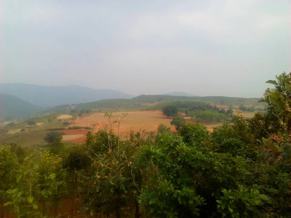 Daringbadi-7.jpg