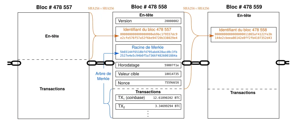 Bloc 478558