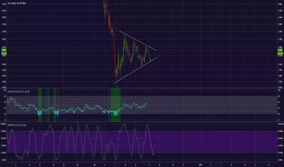 eos short.webp