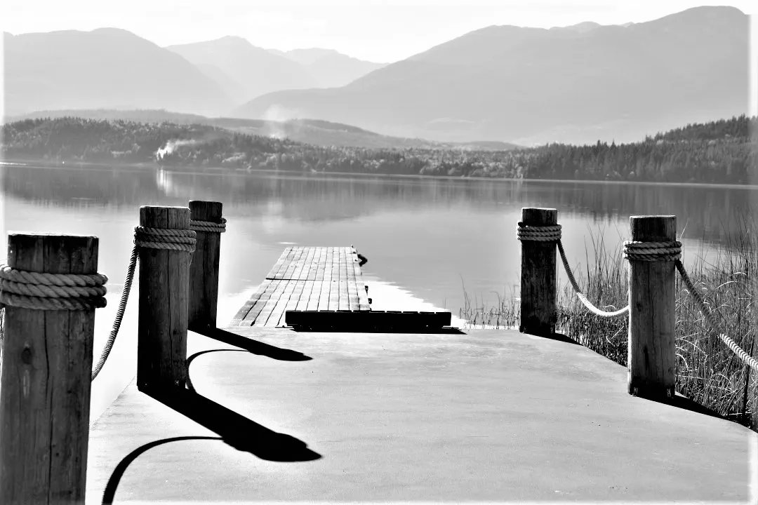 0S5A1282b&w2.jpg