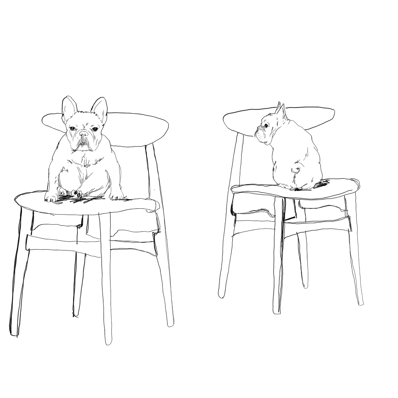 feb19sketch1.jpg