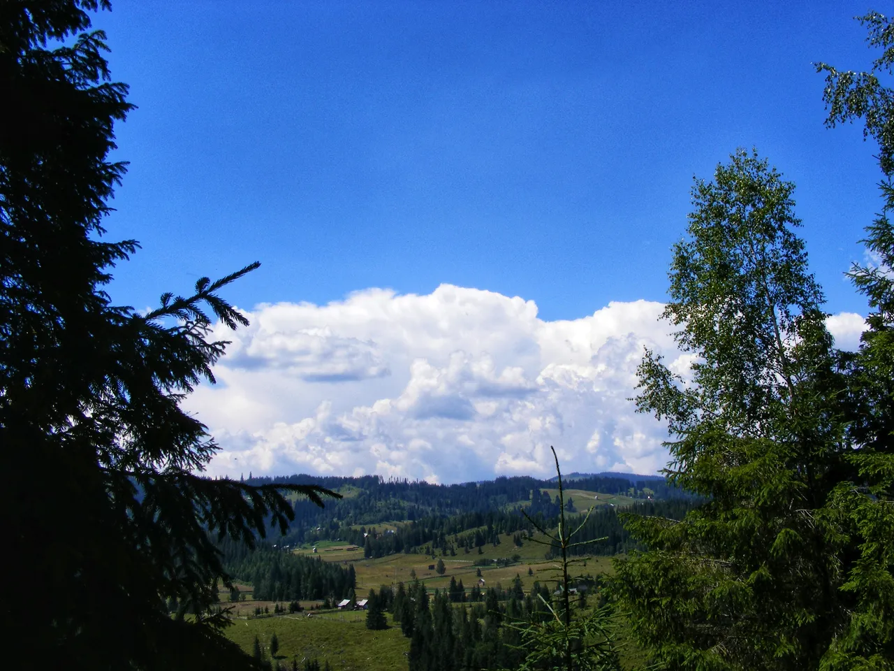 DSCF4078-01.jpeg