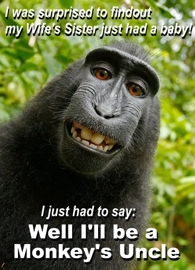 monkeysunlce.jpg