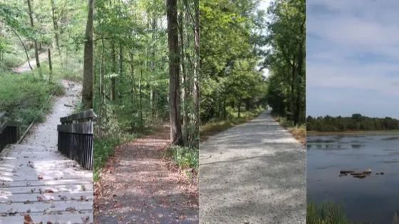 paths lake.png