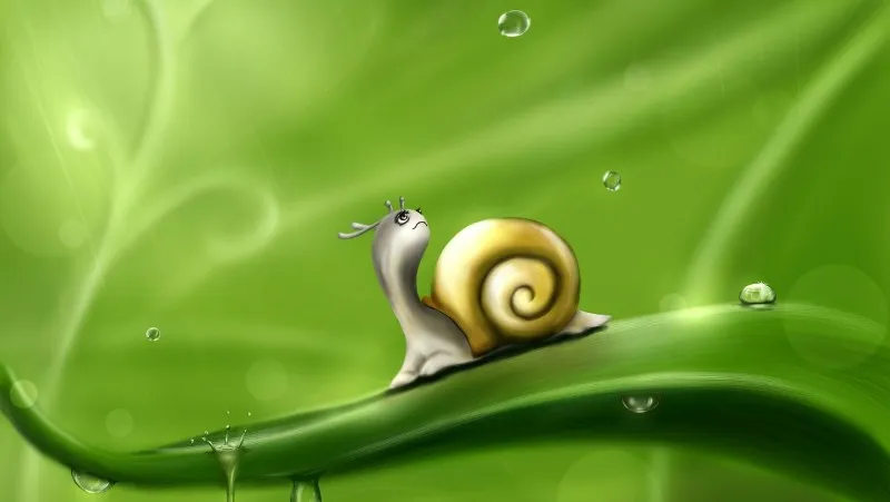 snailweather.jpg