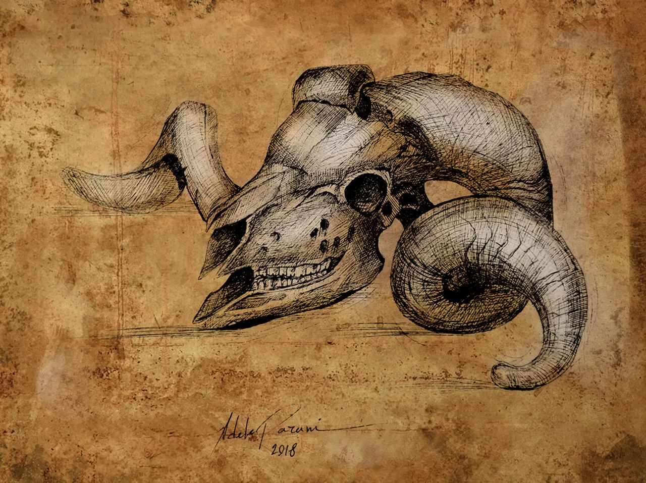 goatdrawing1.jpg