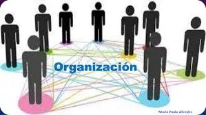 Organizacion.jpg