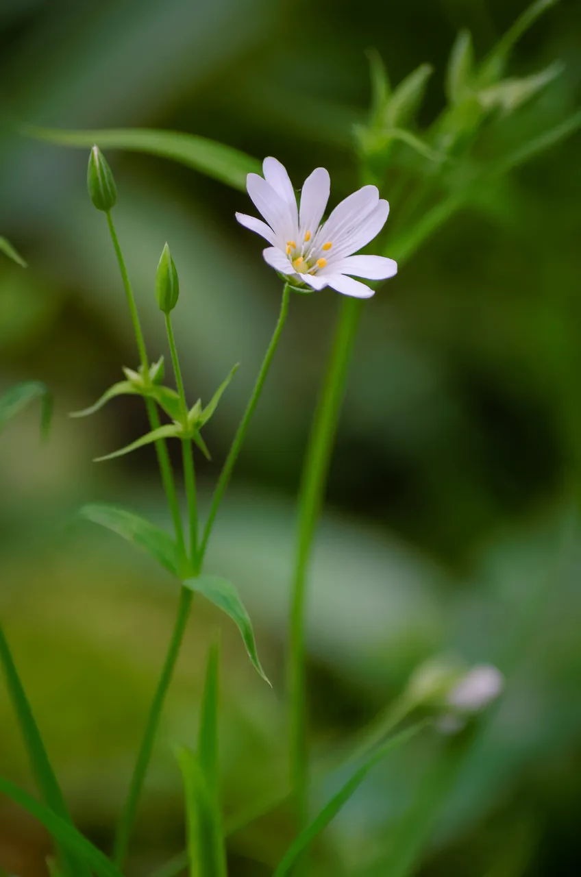 DSC_9900_DxO.jpg