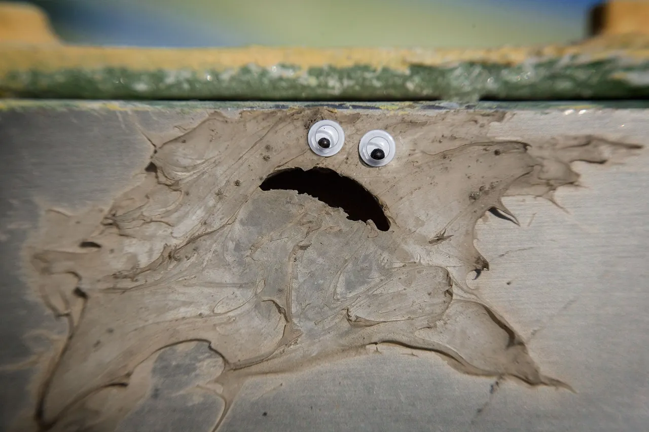Sigmund Smudge Macro CloseUp GooglyEyes by @fraenk
