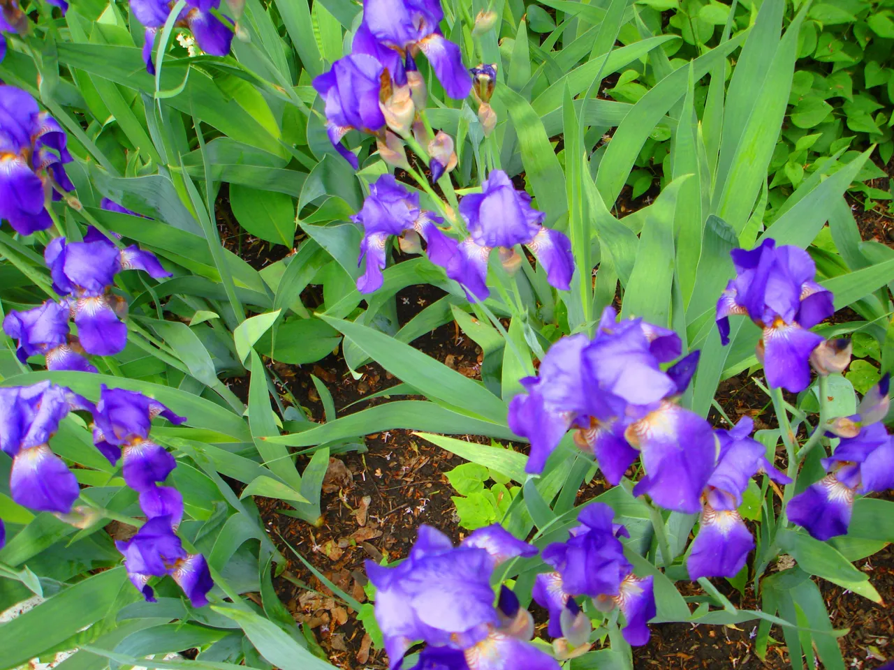 DSC01562-222.jpg