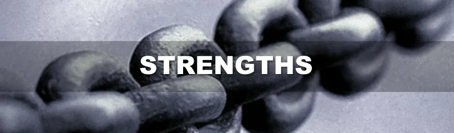 mp-strengths.jpg