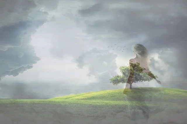 tree dream.jpg