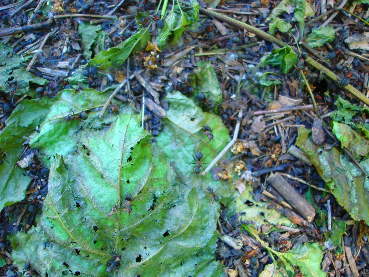 DSC01570-222.jpg