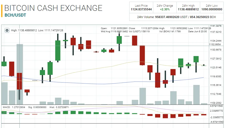 bch update.PNG