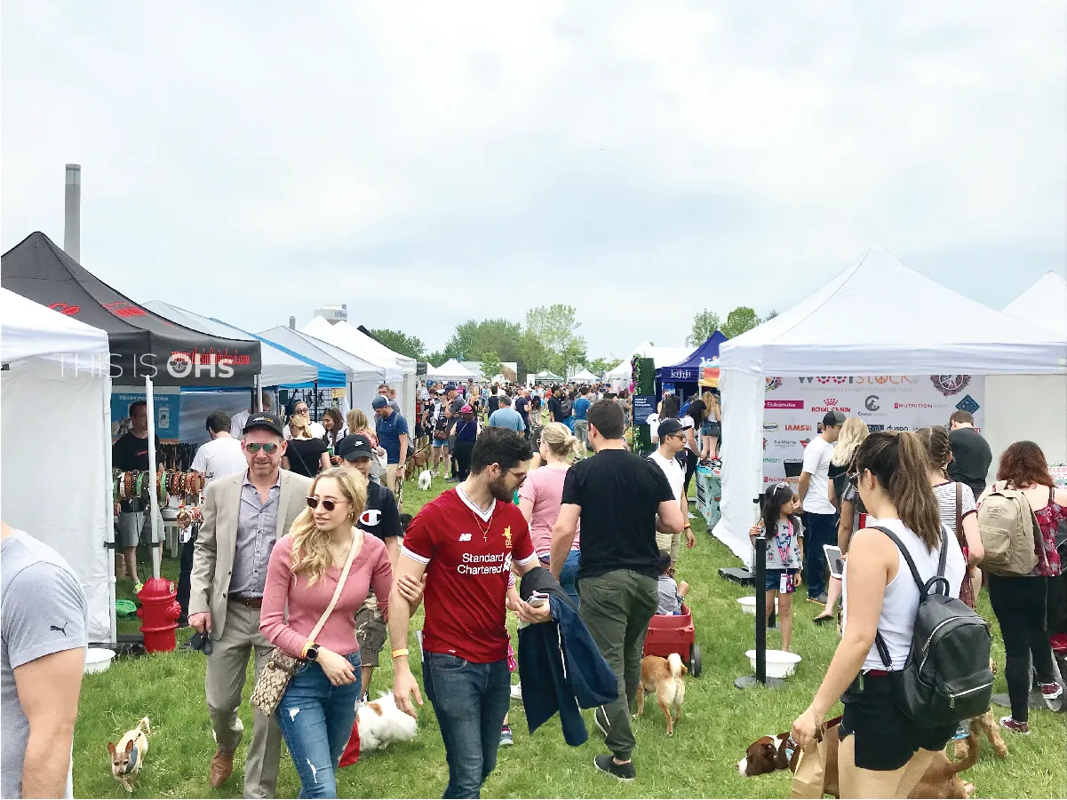 Asset 81-100.jpg