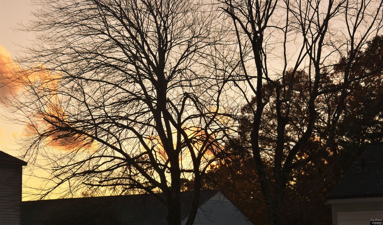 DSC_0006edit.jpg