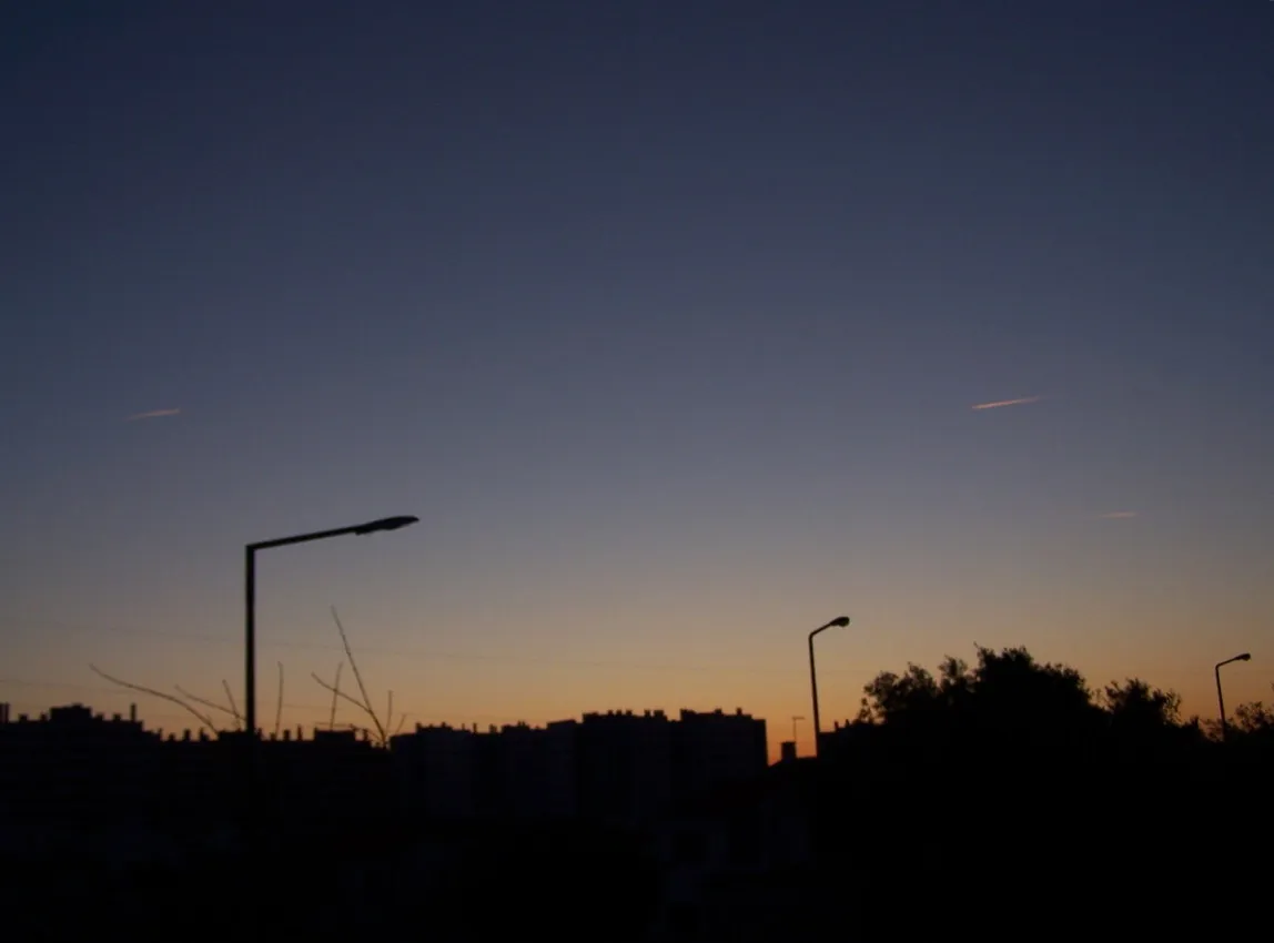 2 100_2478.JPG