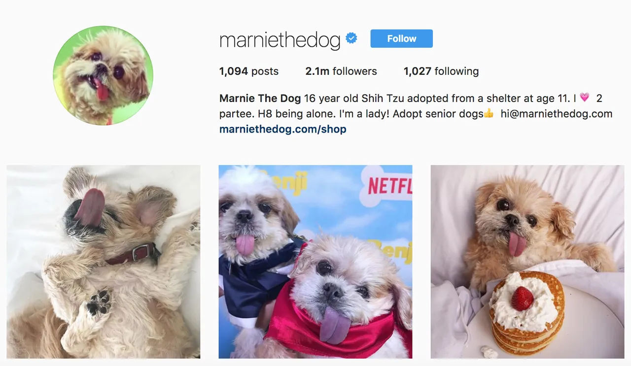 MarnieTheDog.png