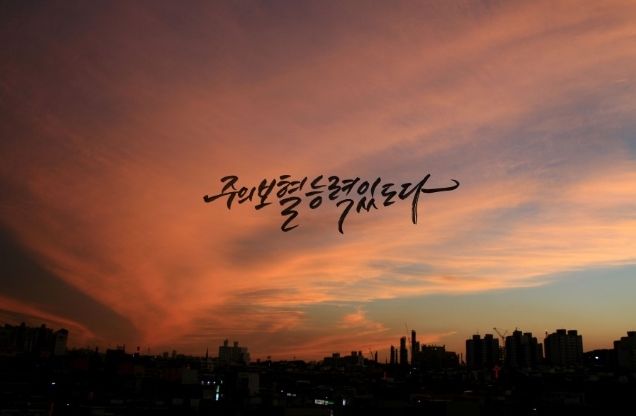 주의보혈.jpg