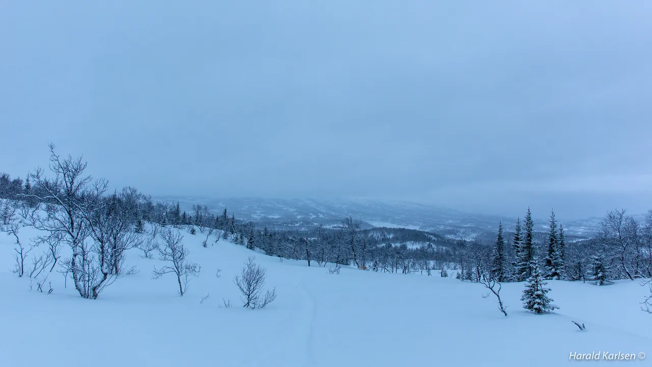 Maridalen-14.jpg