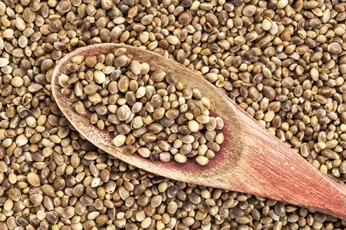 l_hemp-seeds.jpg