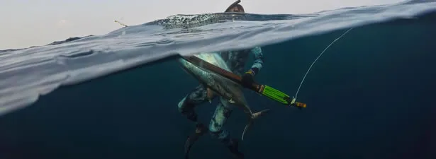 spearfishing.jpg