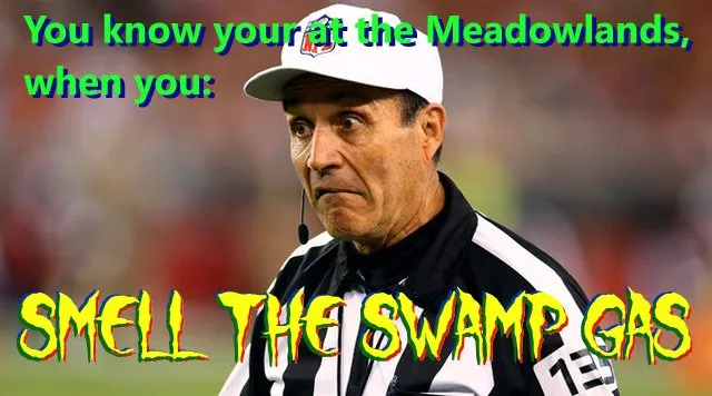 ref_swampgas.jpg