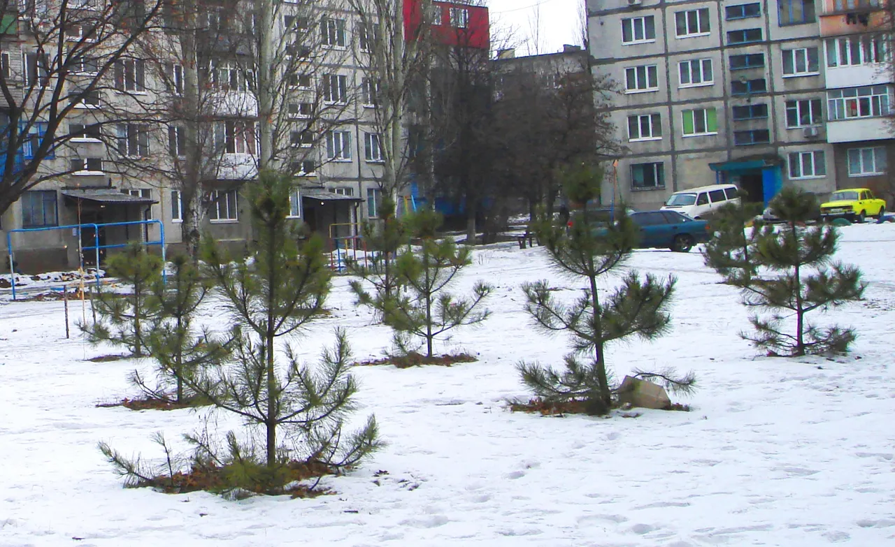 DSC01111-444.jpg