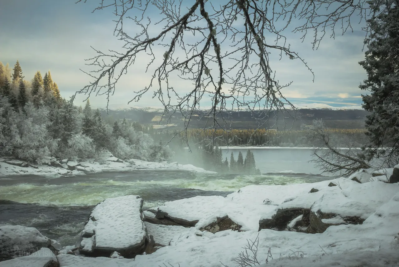 _MG_7003-1-3.jpg