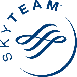 skyteam_logo.png