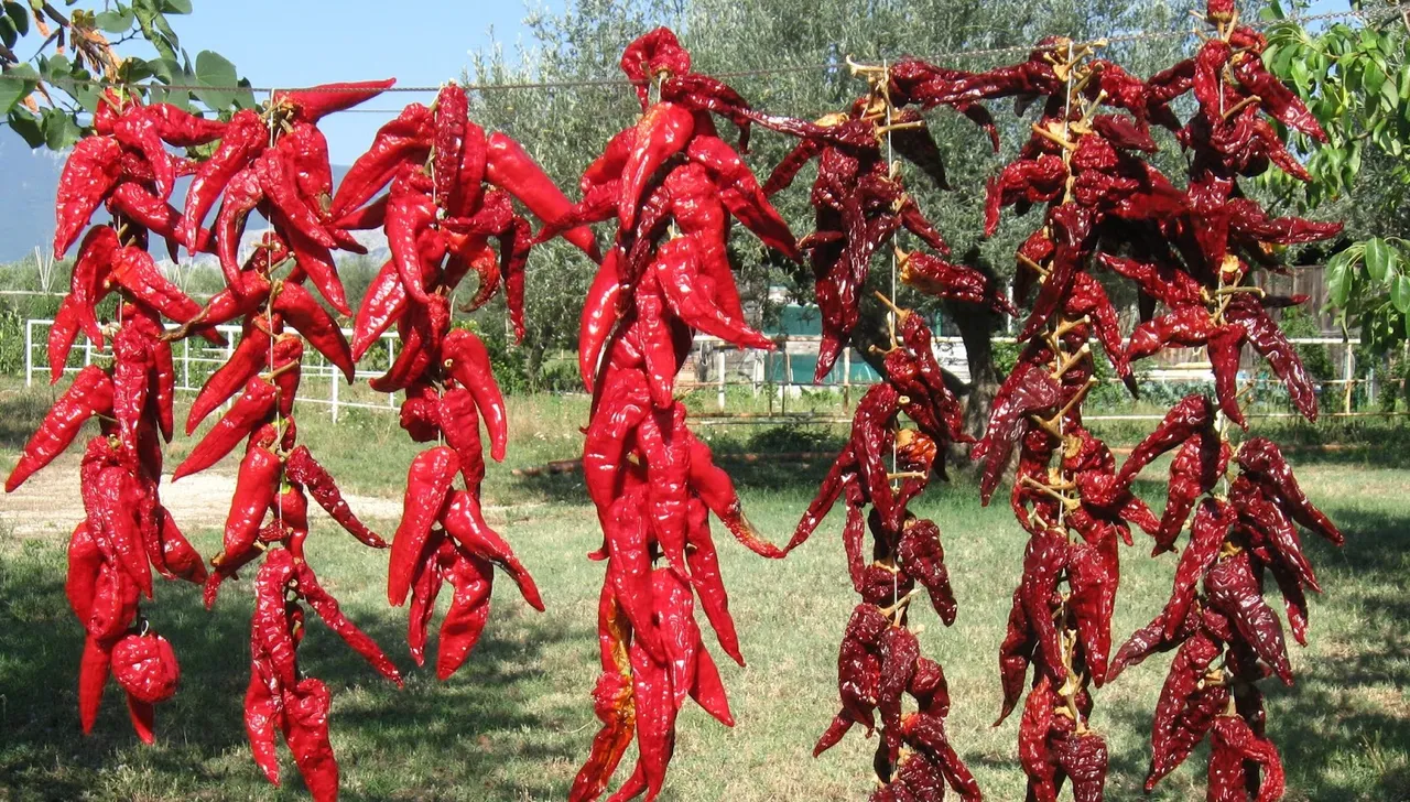 chiles-secos.jpg