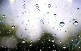 tenor (24).gif