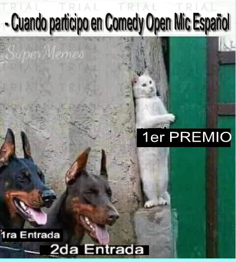 Sin titulo.jpg