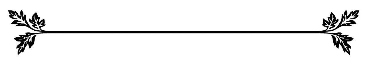 page-divider.jpg