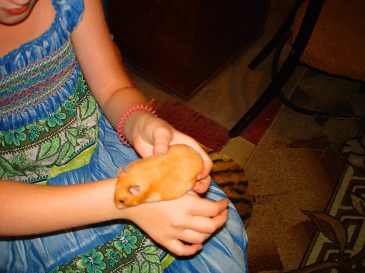 DSC01574-222.jpg