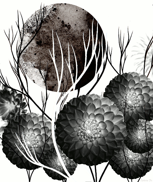 dahlia600FNL.gif