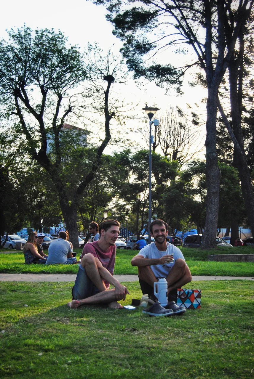 DSC_0381-01.jpeg