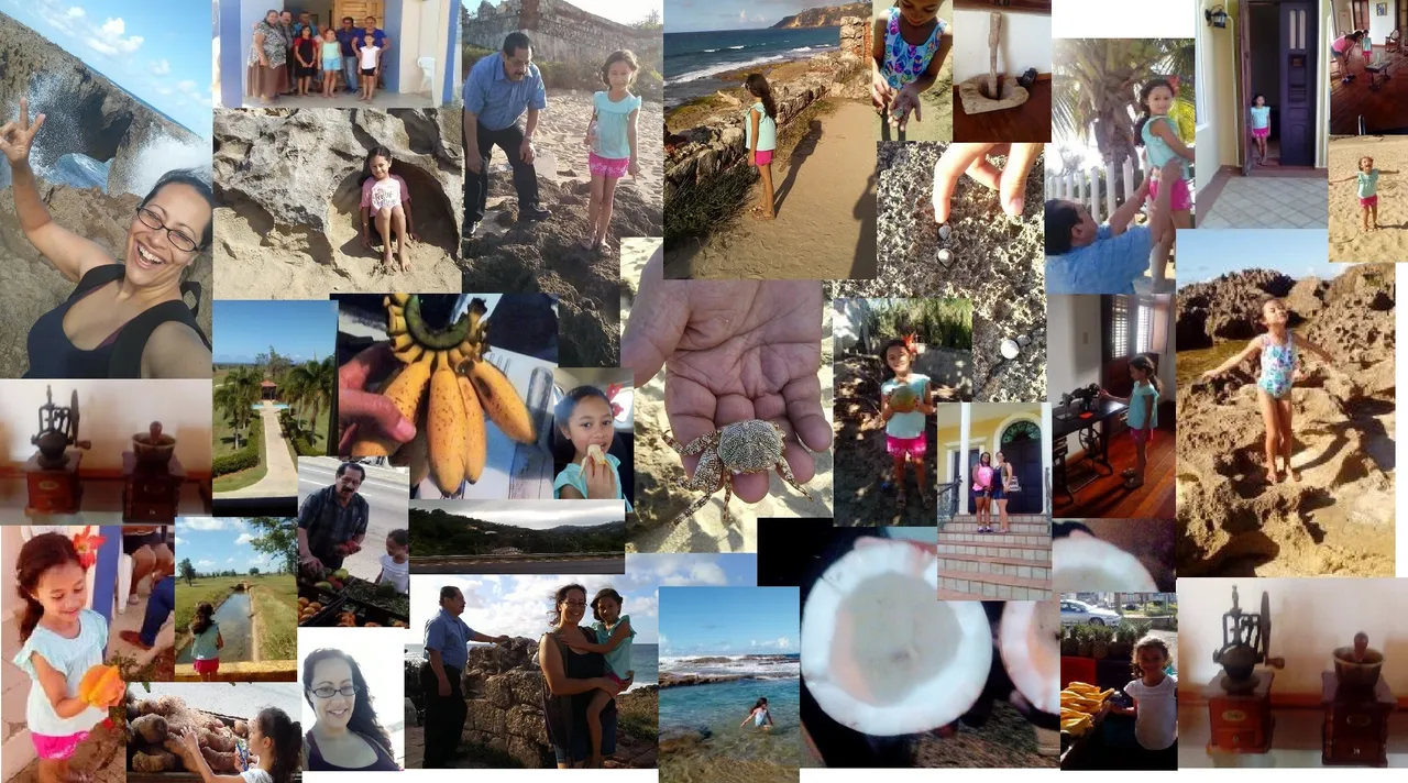 PR collage.jpg
