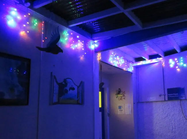 decorations2.jpg