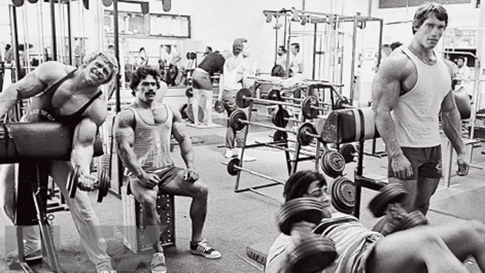 arnold gym.jpg