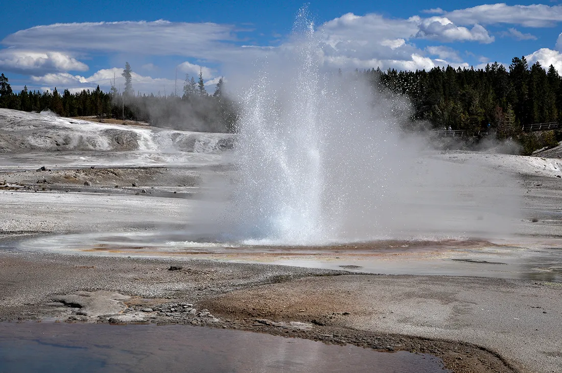 YSgeysers00d.jpg