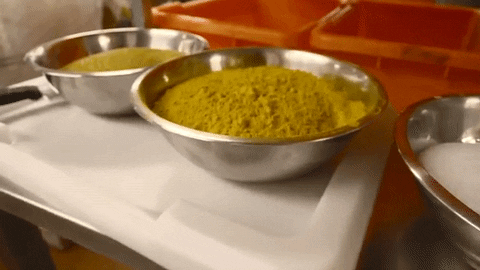 giphy (38).gif
