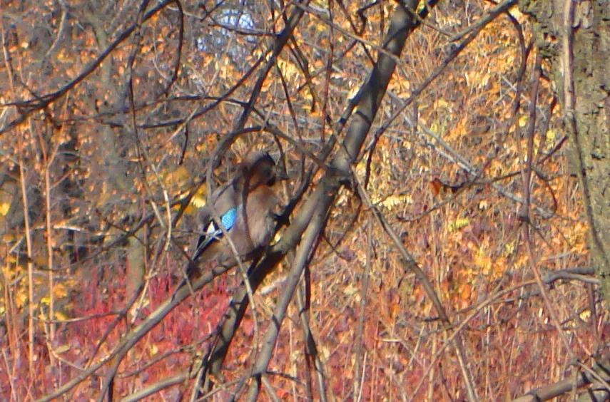 DSC00030-222.jpg