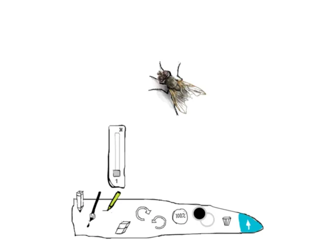 boristoolfly.png