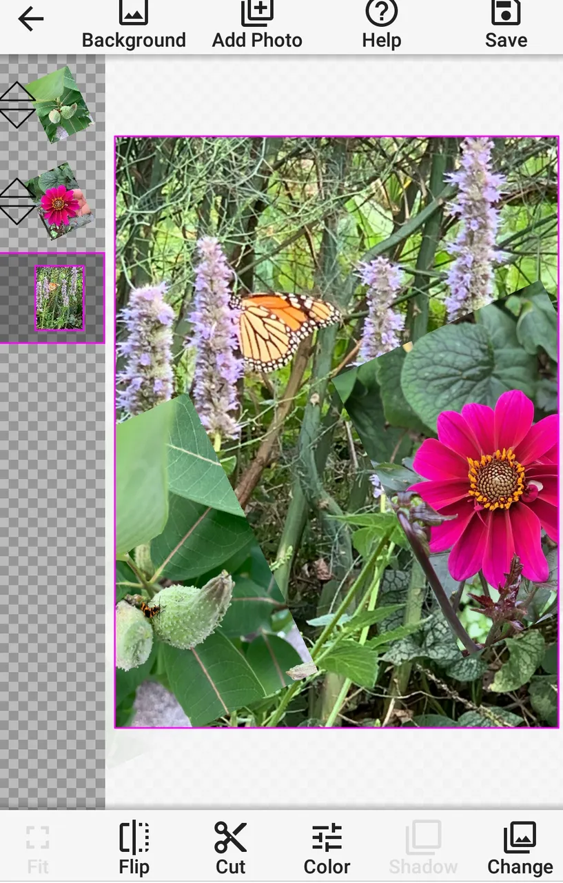 Screenshot_20210202042415.jpg