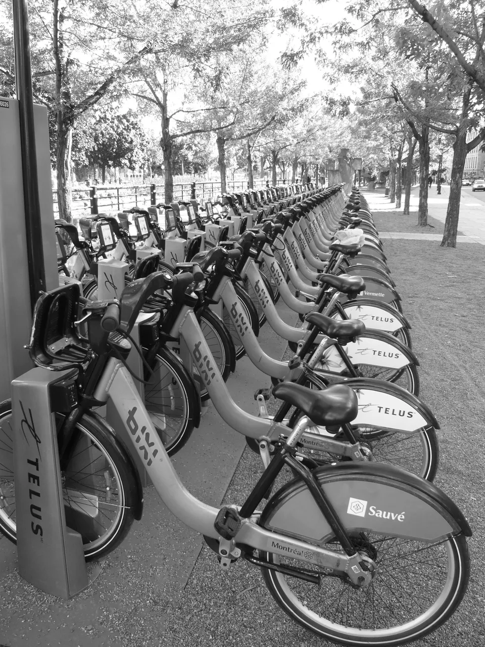 VELOS en file avant de filer.JPG