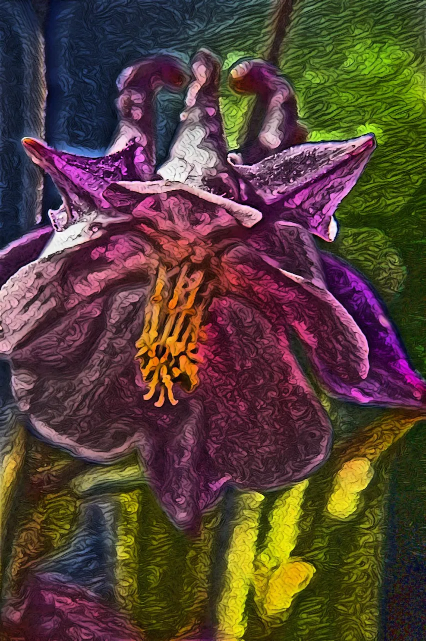imageedit_dark_2185205188.jpg