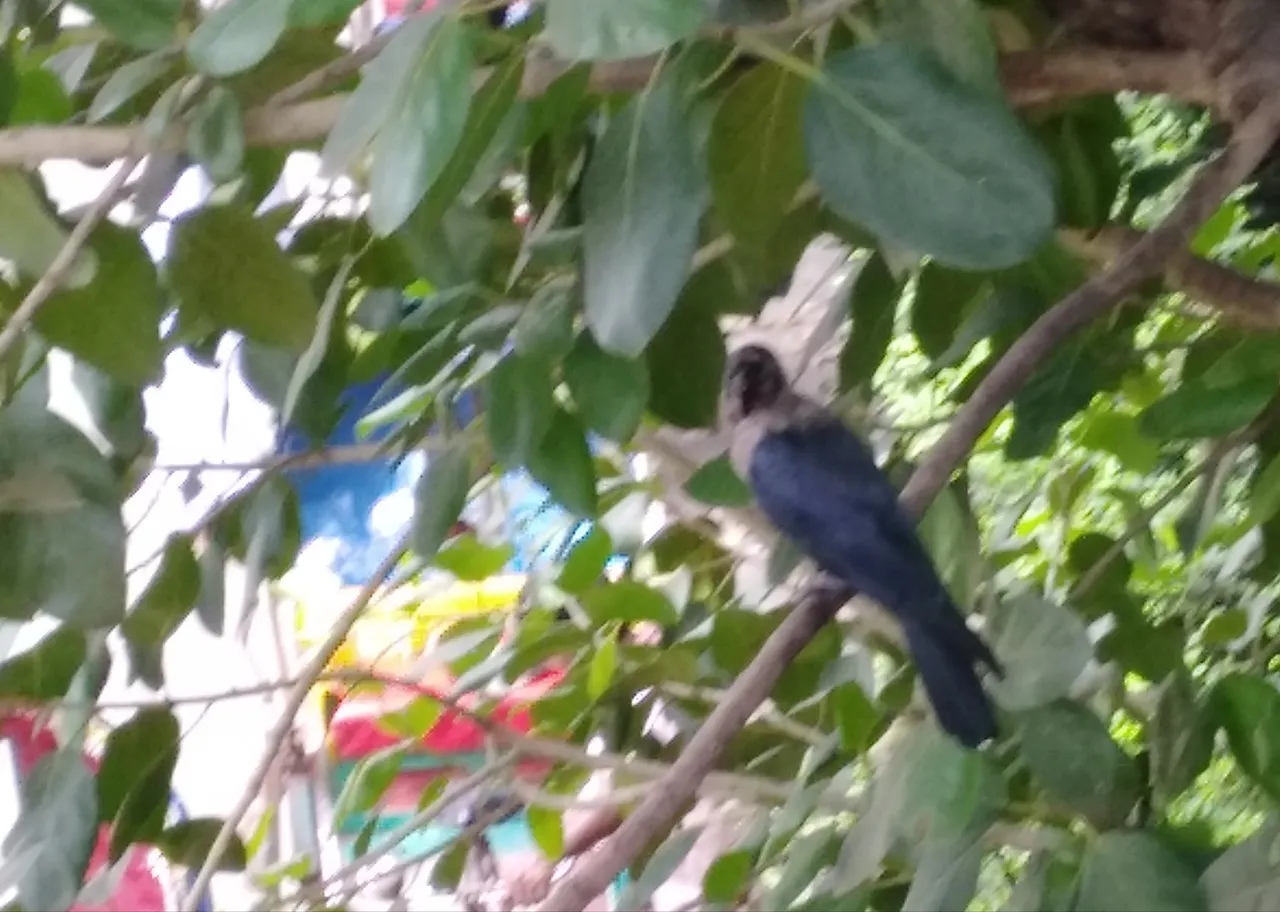 PhotoEditor_20190917_142811265.jpg