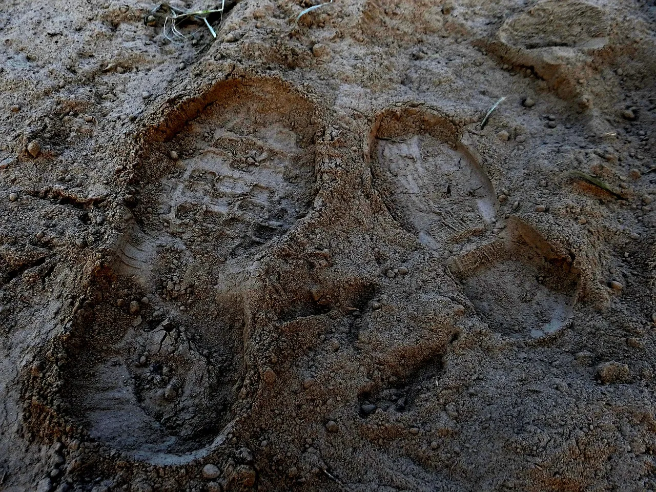 footprints582740_1280.jpg