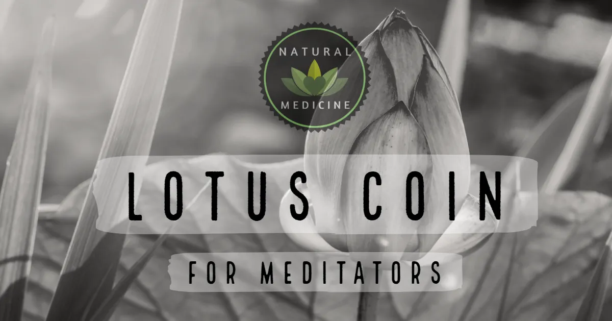 LOTUS FOR MEDITATORS.png